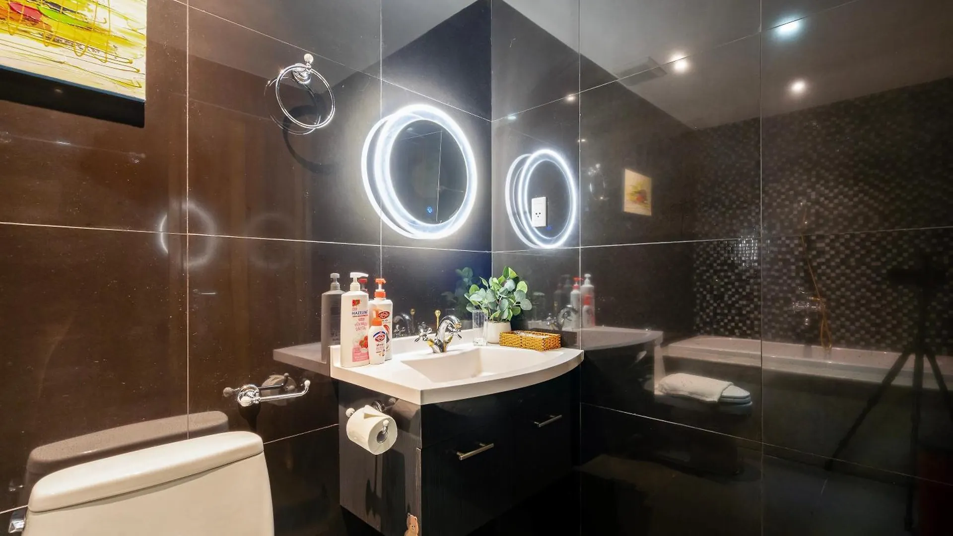 Salute De Leman - Luxury Apartment Distrist 3 Ho Chi Minh City Vietnam