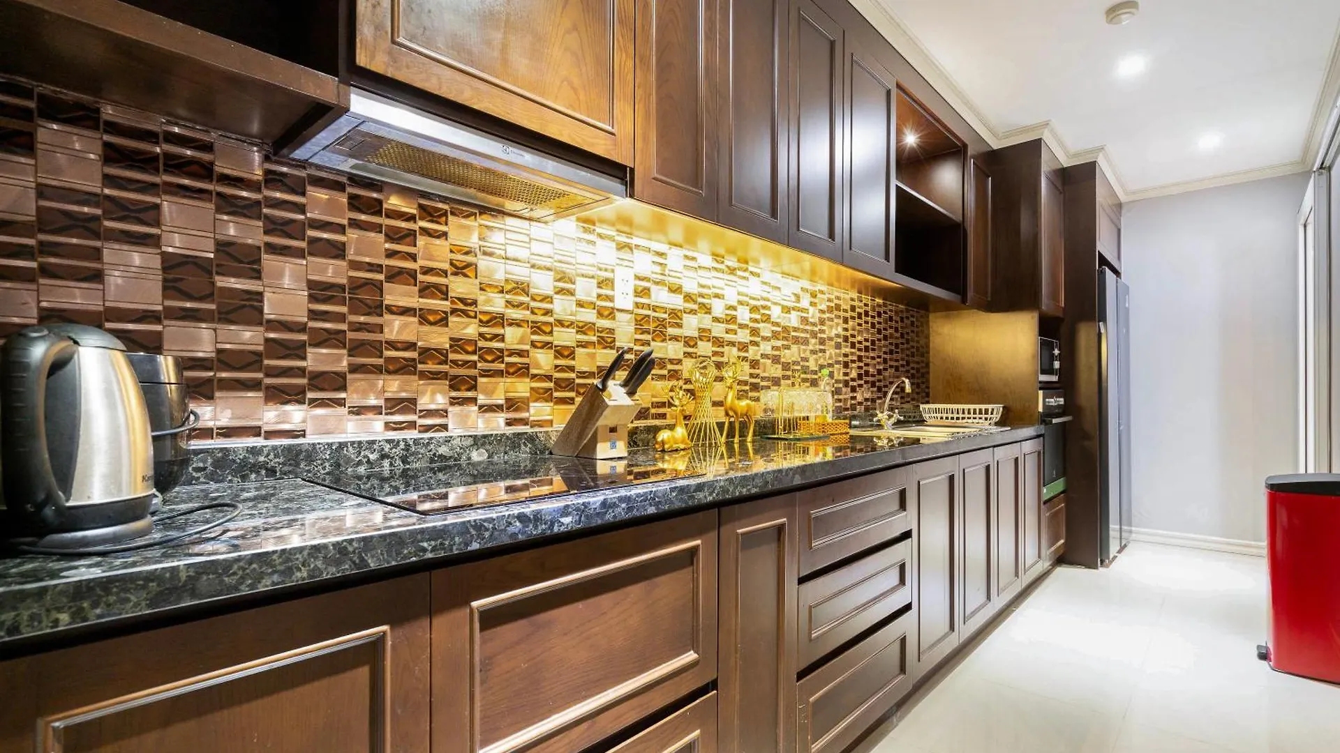 Salute De Leman - Luxury Apartment Distrist 3 Ho Chi Minh-Byen 0*,  Vietnam